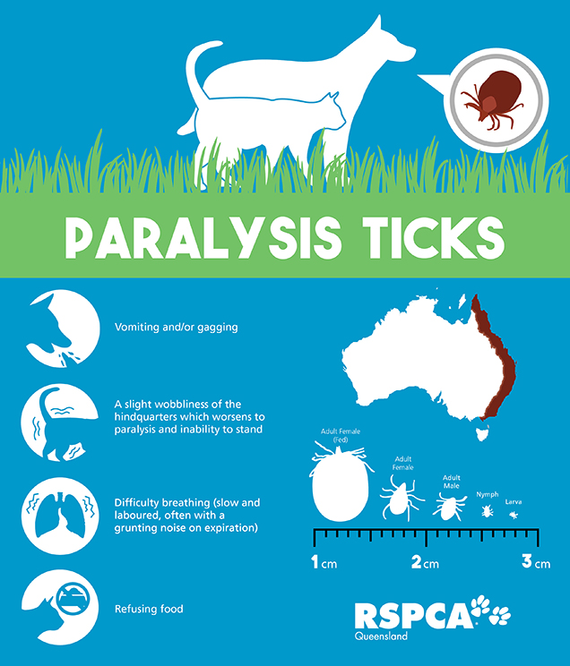 Symptoms your pet might display if it has a paralysis tick